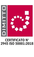 logo_Dimitto_SA_certificazione_2945_page-0001_risultato